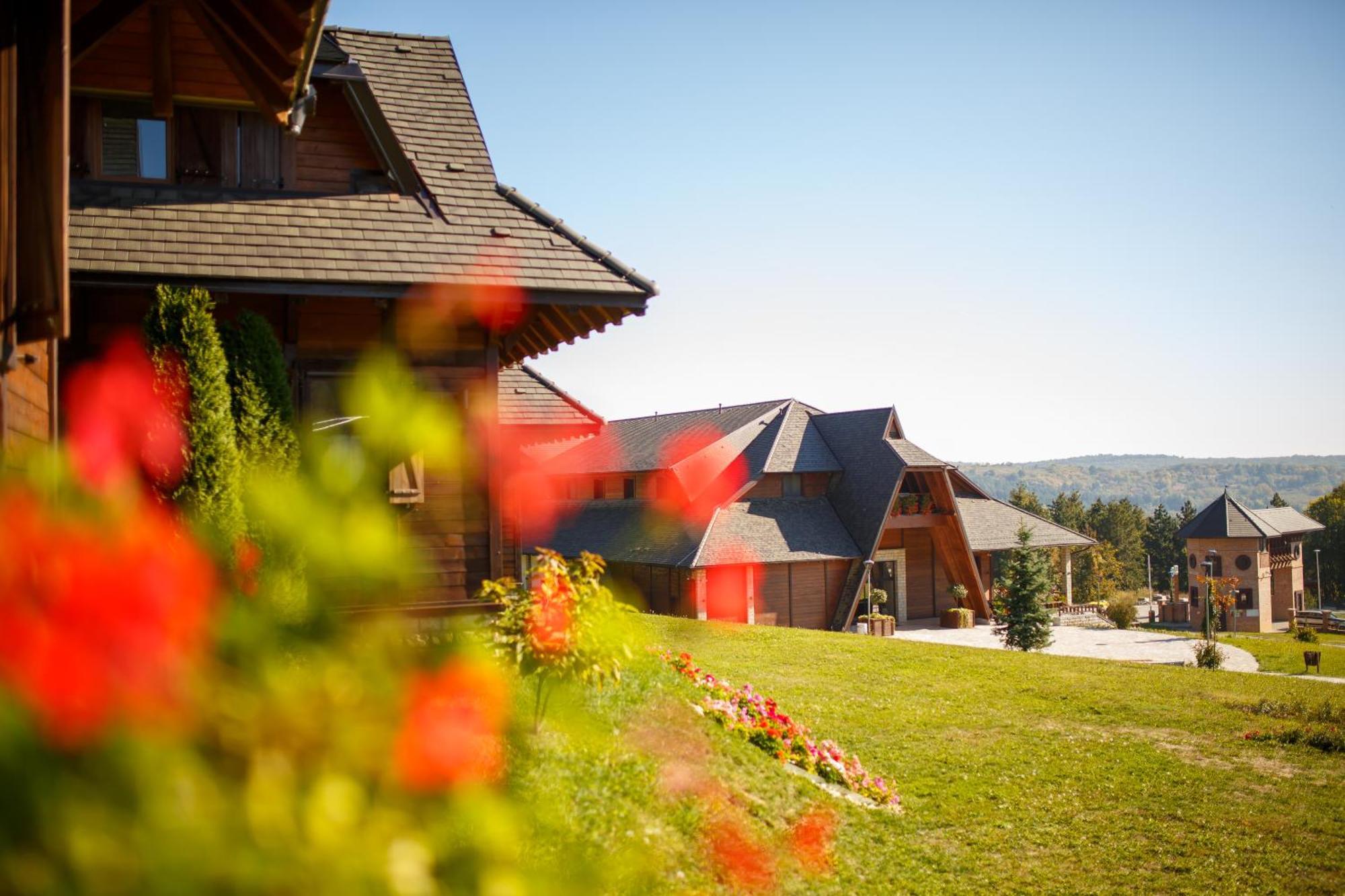 Hotel Etno Naselje Vrdnicka Kula à Vrdnik Extérieur photo