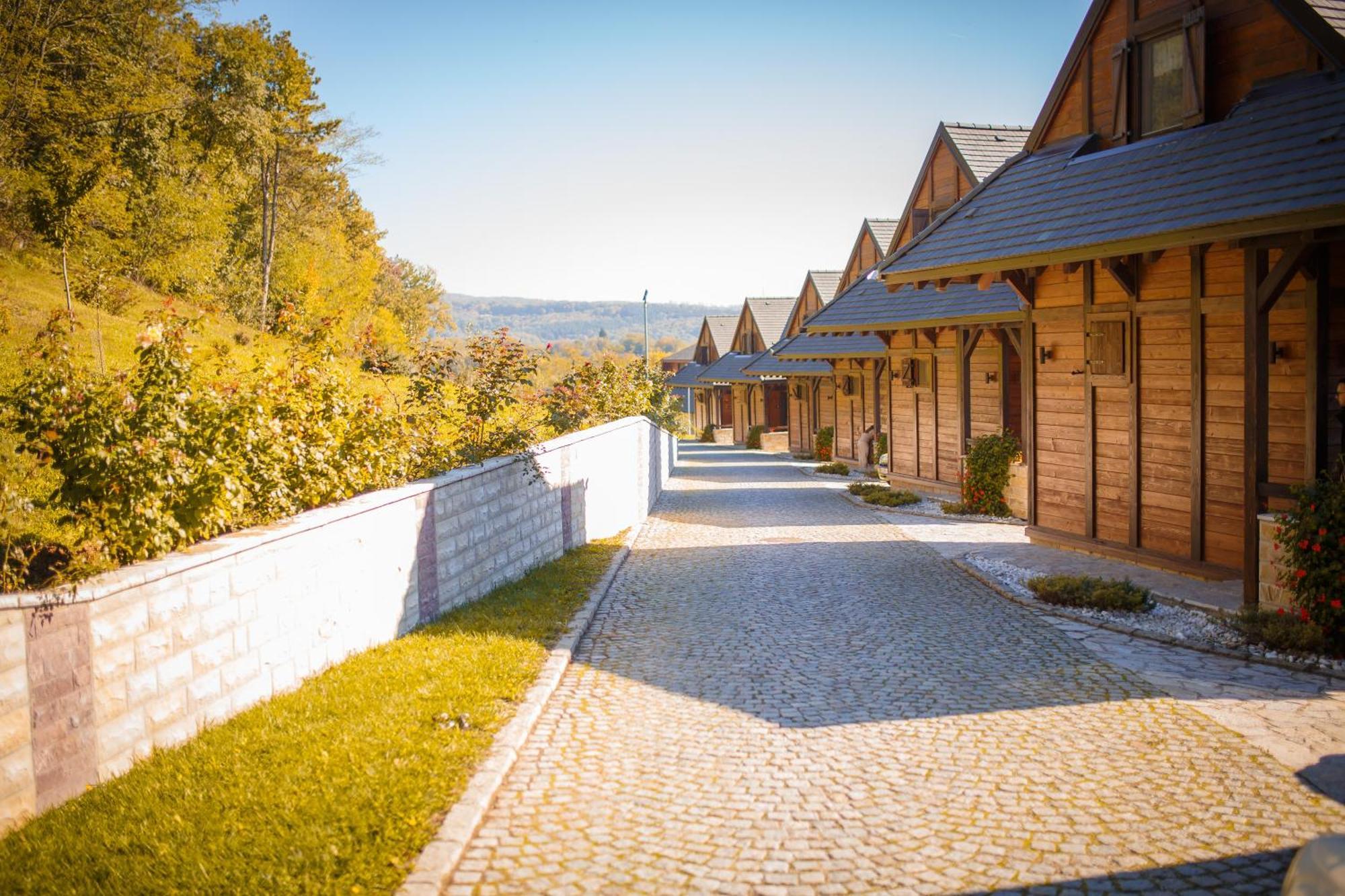 Hotel Etno Naselje Vrdnicka Kula à Vrdnik Extérieur photo